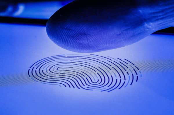 Fingerprint identification solution